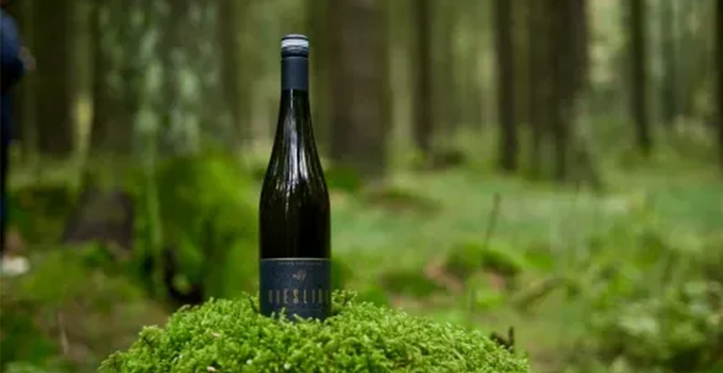 Bottle of white wine in the nature